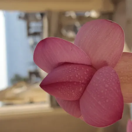 Ξενοδοχείο Margherita 3*