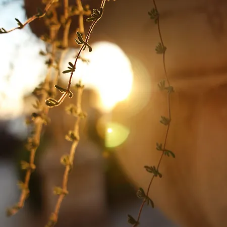 Ξενοδοχείο Margherita