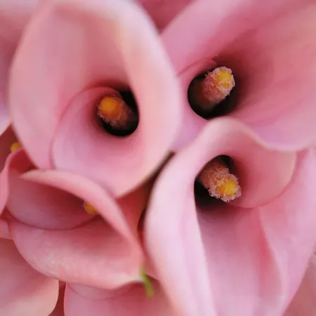 Ξενοδοχείο Margherita Quercianella